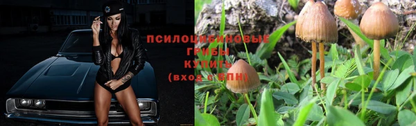 apvp Дмитровск