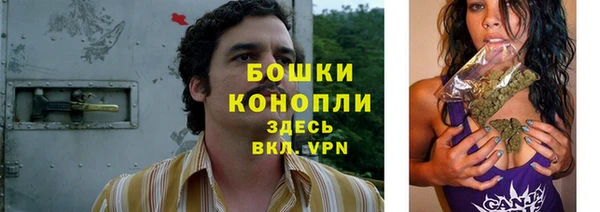 дживик Дмитриев
