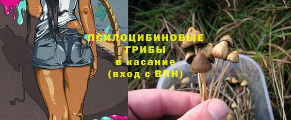 дживик Дмитриев