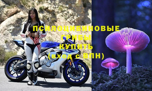 дживик Дмитриев