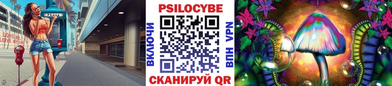 Галлюциногенные грибы Cubensis  Купить  Болотное 